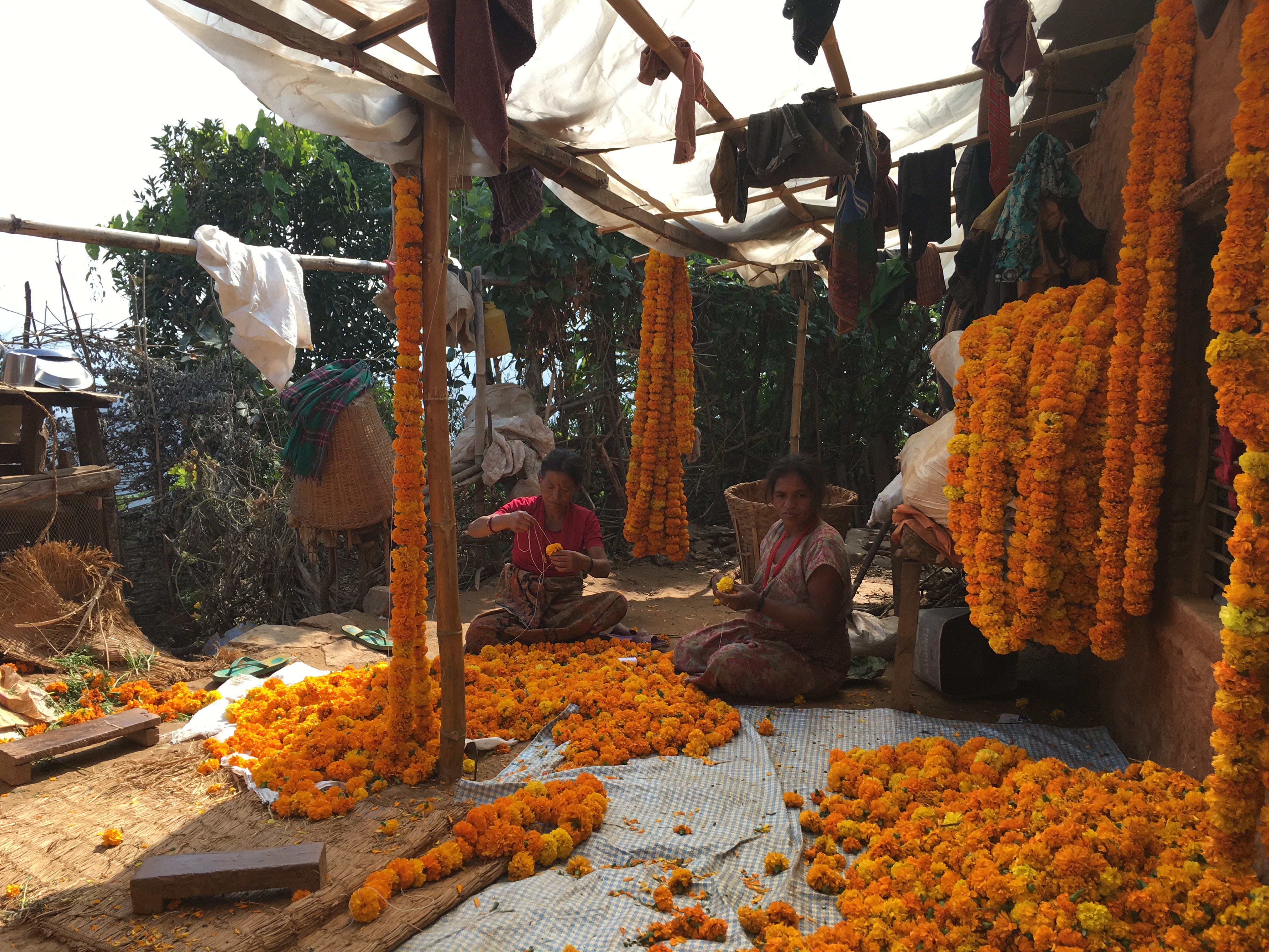 Photograph of Nepalese ladies as they prepare for Tihar, the Hindu festival of lights.